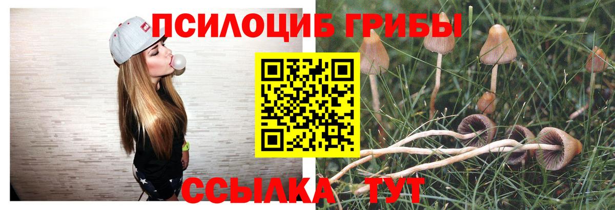 Псилоцибиновые грибы GOLDEN TEACHER Ростов Великий