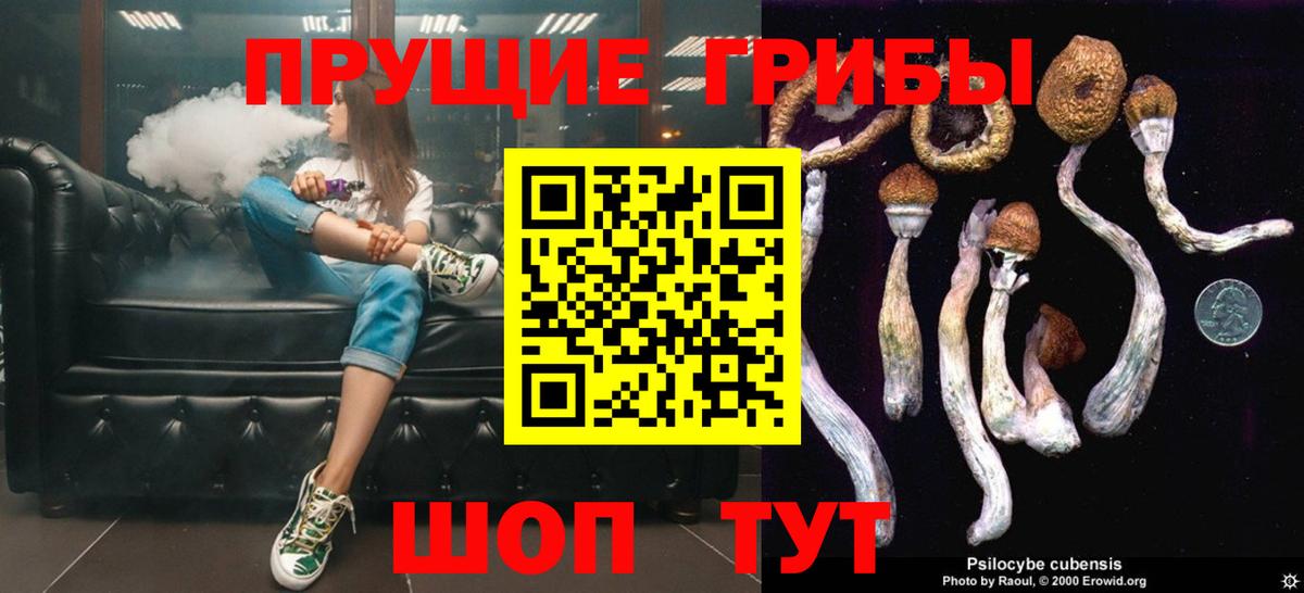 Псилоцибиновые грибы GOLDEN TEACHER  Вход с VPN  Ростов Великий 